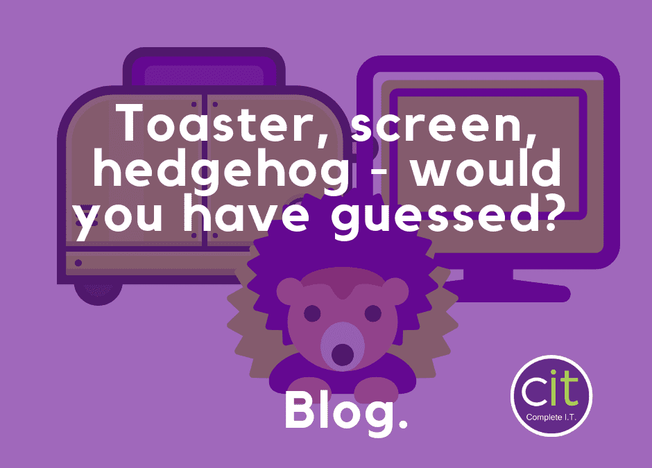 Toaster99Screen76Hedgehog – Would you have guessed?