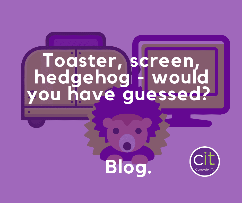 Toaster99Screen76Hedgehog – Would you have guessed?