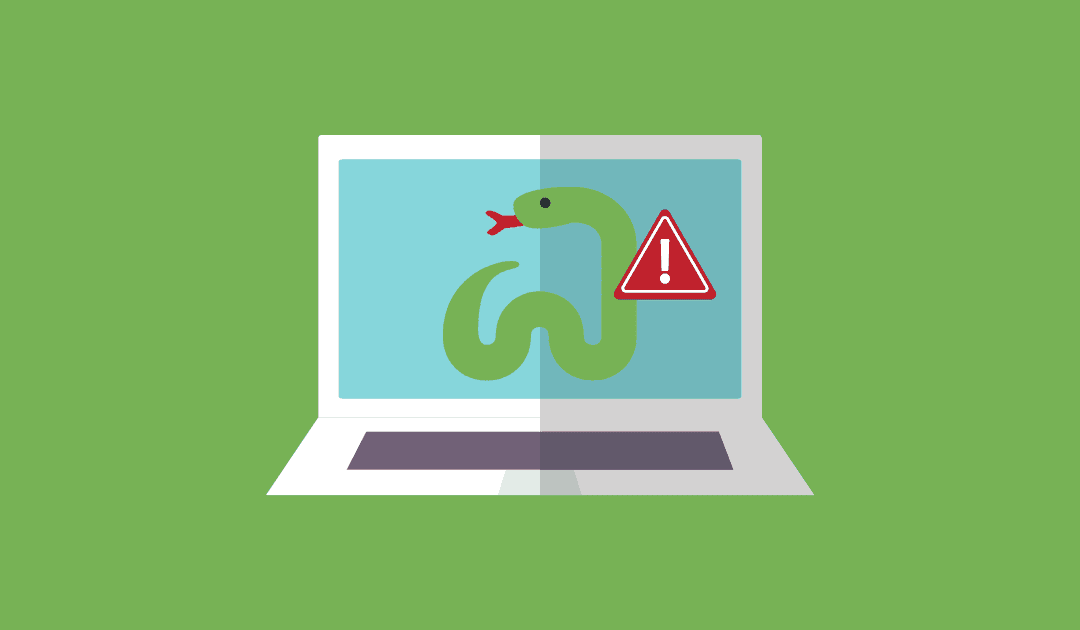 Snake Ransomware Targeting Organisations