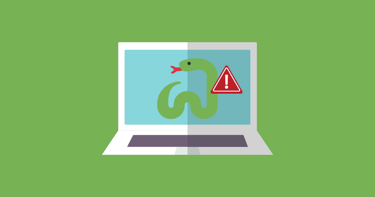 Snake Ransomware Targeting Organisations