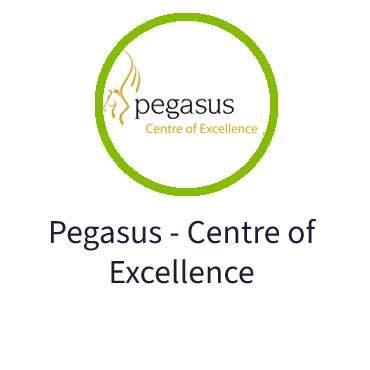 Pegasus Centre of Excellence